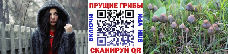 mega как войти Дюртюли Галлюциногенные грибы ЛСД