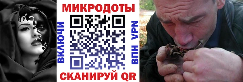Галлюциногенные грибы Psilocybine cubensis Дюртюли